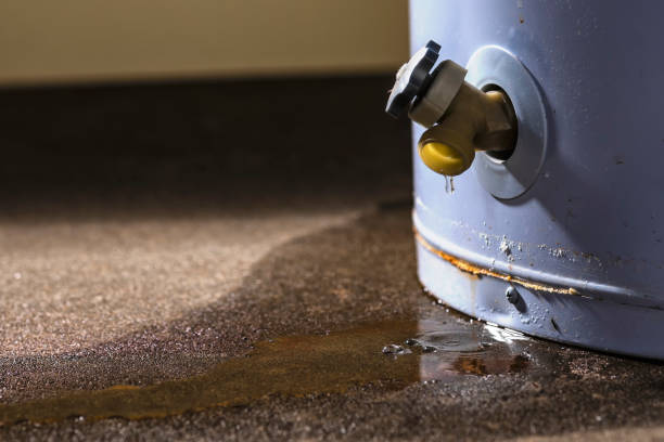 Best Water damage restoration process  in Gorman, NC