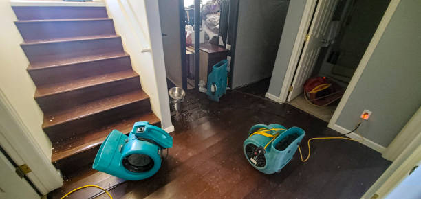 Best Commercial water damage restoration  in Gorman, NC