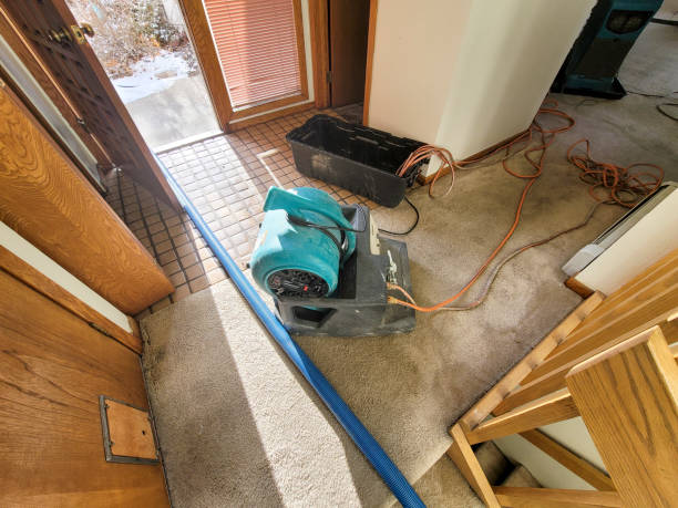 Best Water damage restoration near me  in Gorman, NC