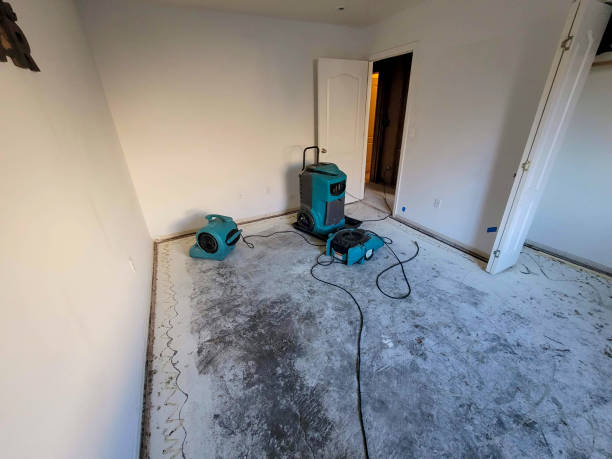 Best Water damage restoration cost  in Gorman, NC
