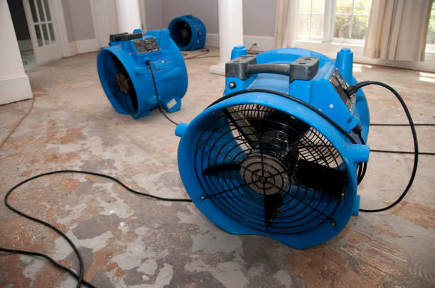 Best Water damage cleanup near me  in Gorman, NC
