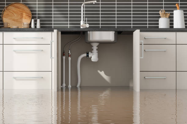 Best 24/7 water damage repair  in Gorman, NC