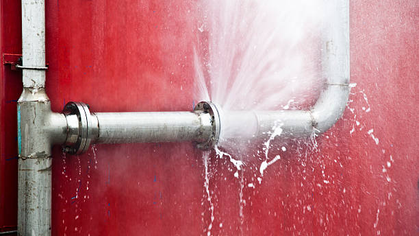 Best Water damage cleanup near me  in Gorman, NC