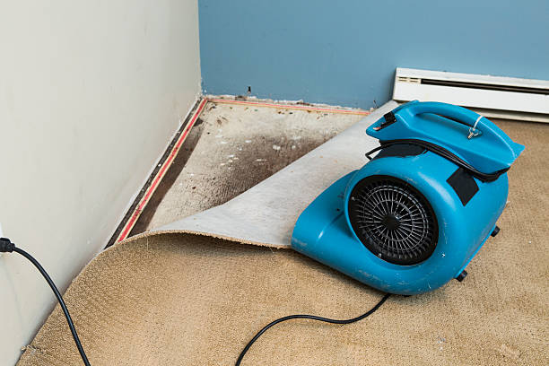 Best Residential water damage restoration  in Gorman, NC